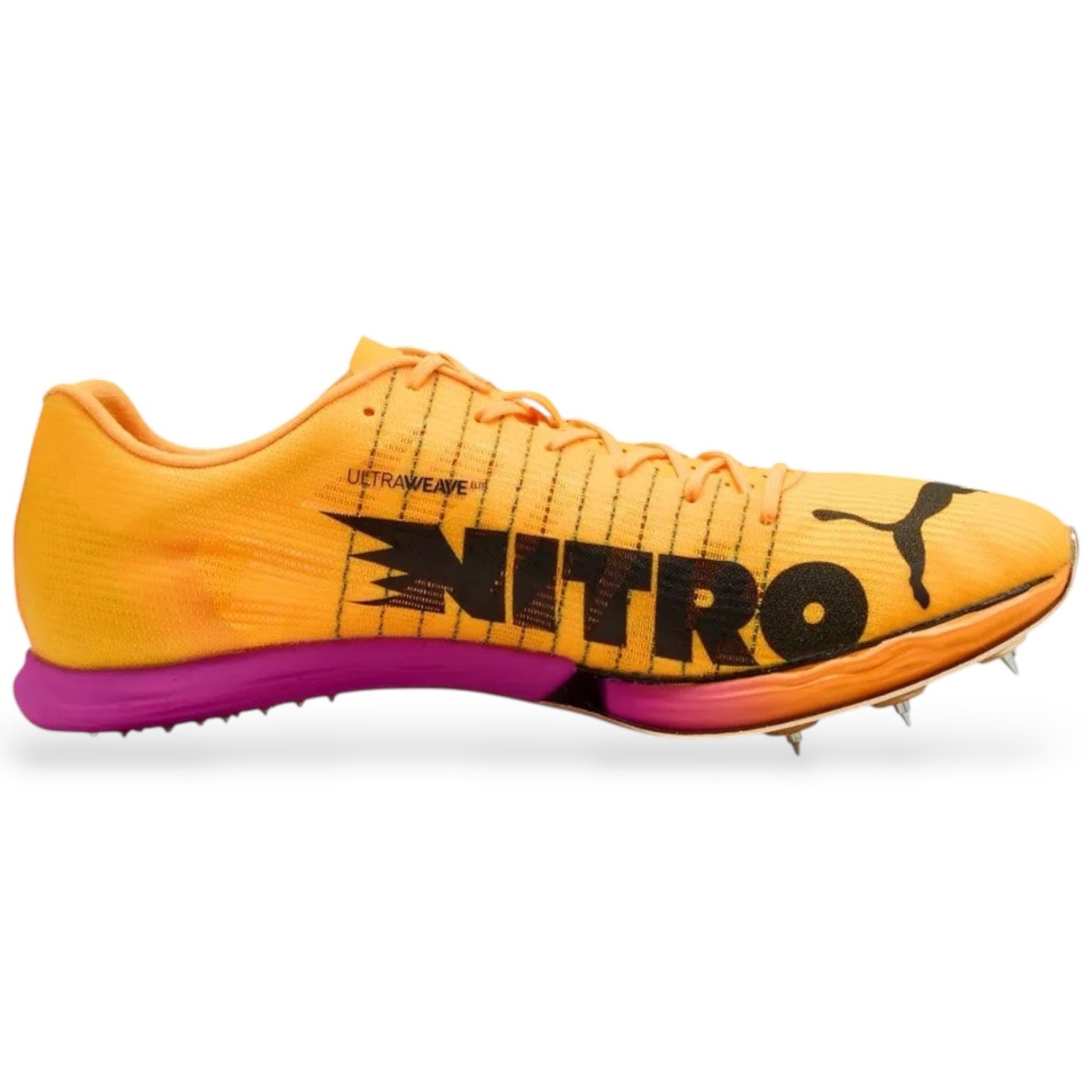 EVOSPEED FORTE NITRO - immagine 2
