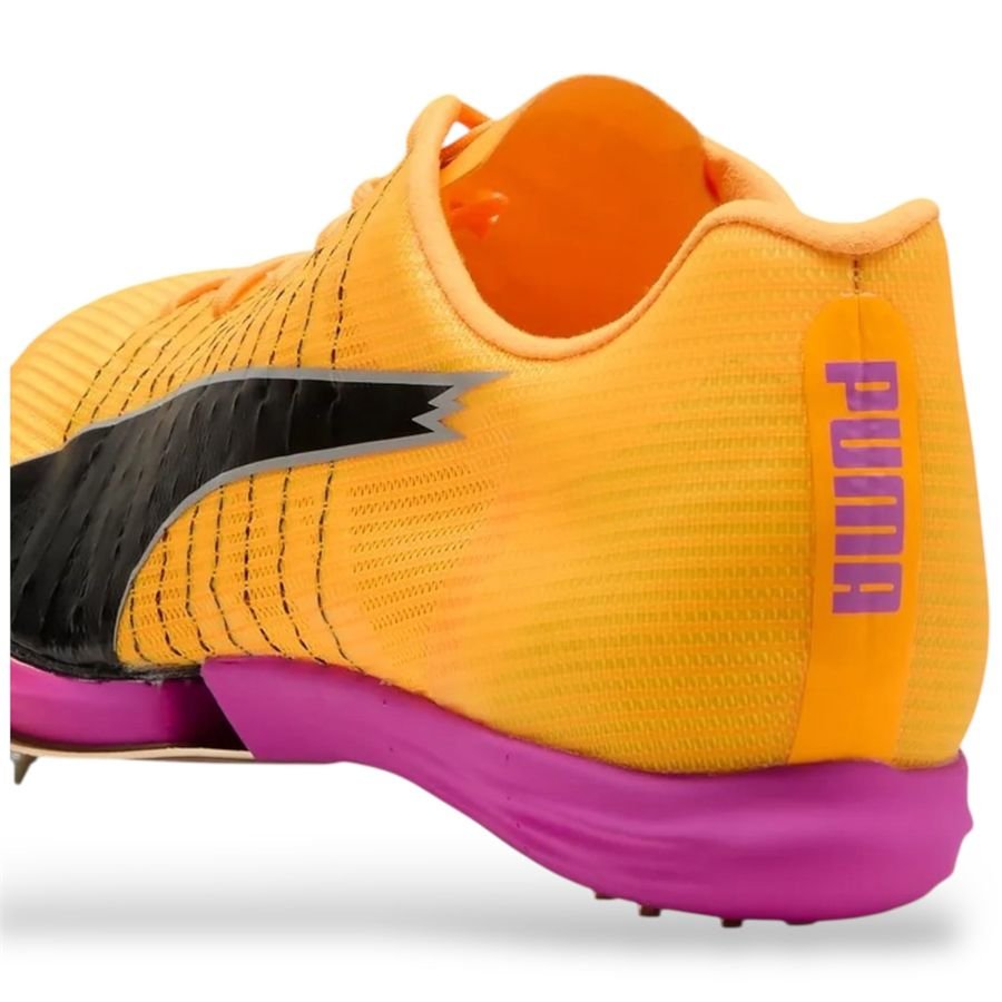 EVOSPEED FORTE NITRO - immagine 11