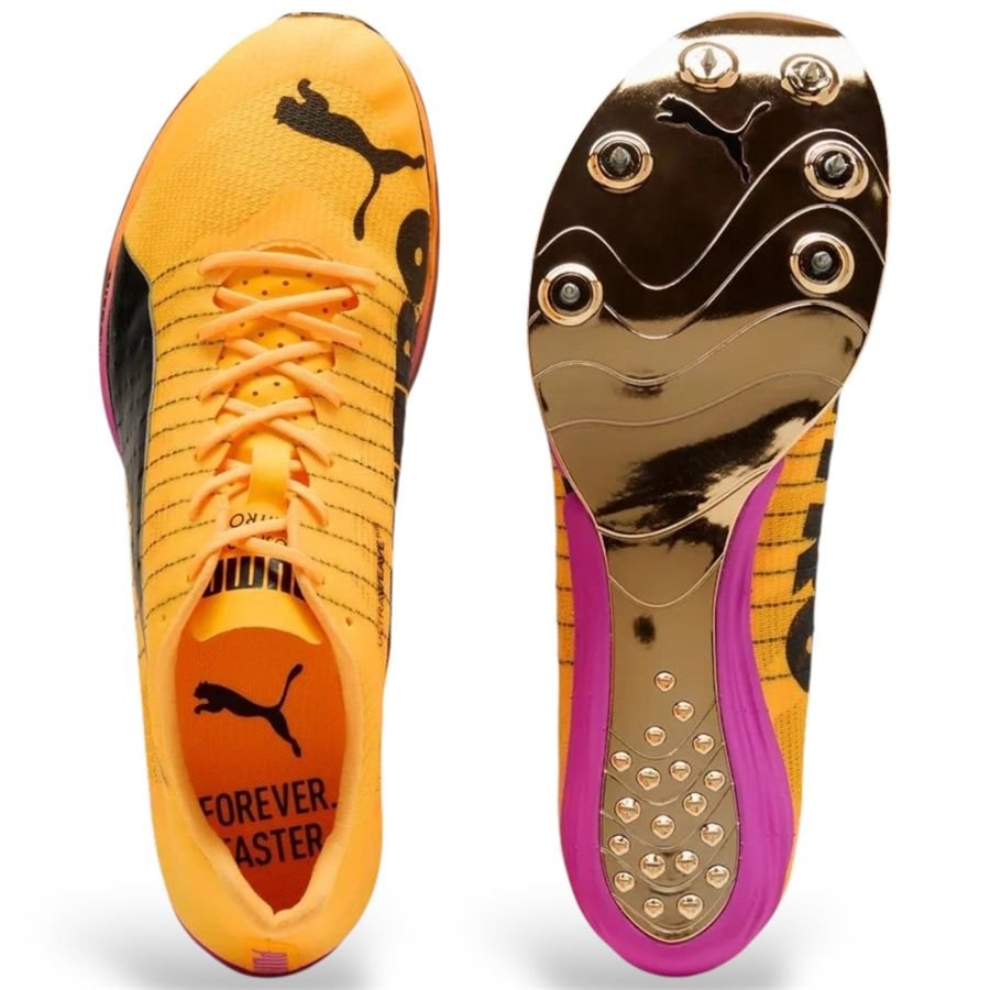 EVOSPEED FORTE NITRO - immagine 12