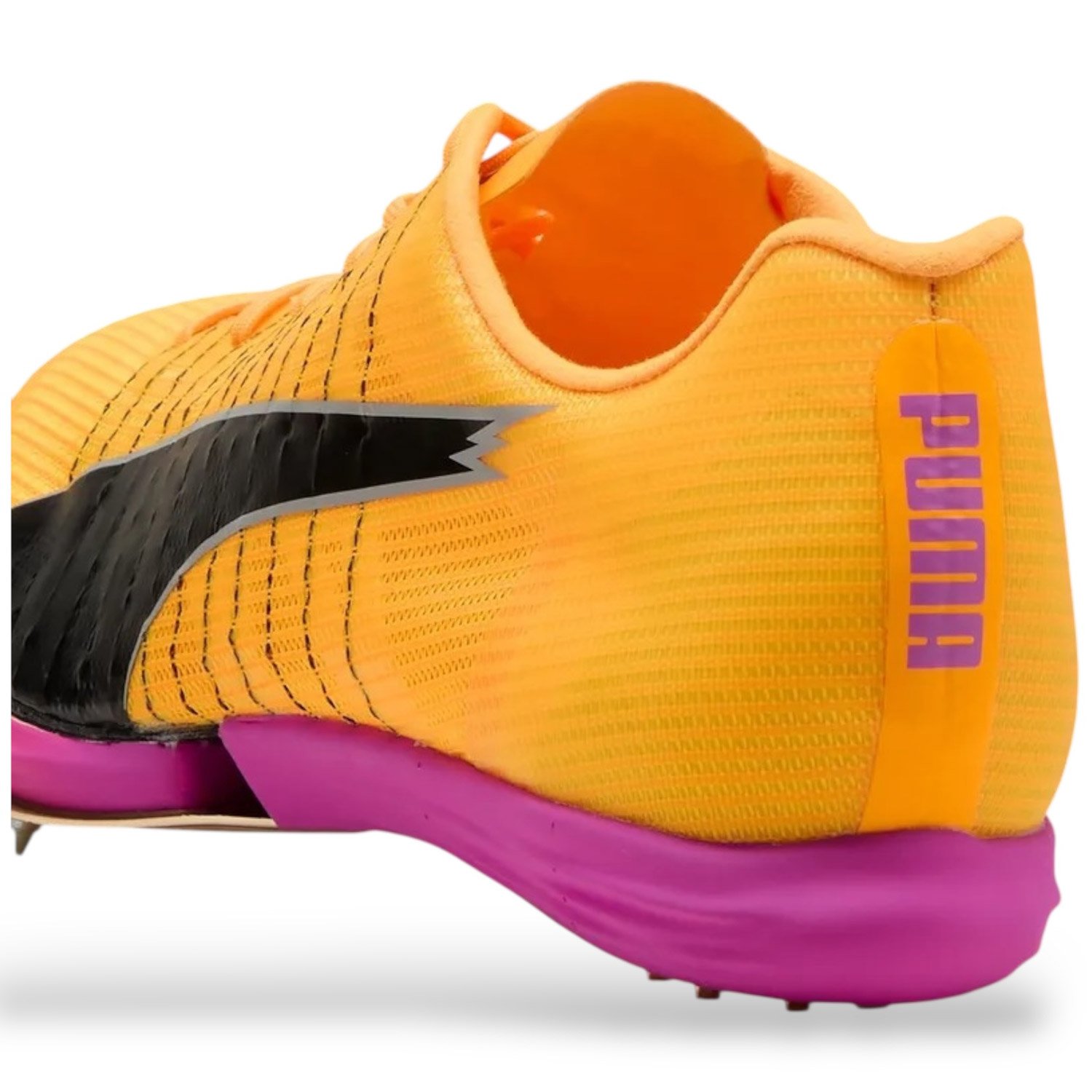 EVOSPEED FORTE NITRO - immagine 5