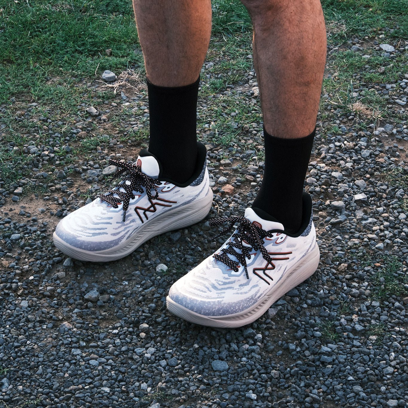 IKONI ATR - immagine 6