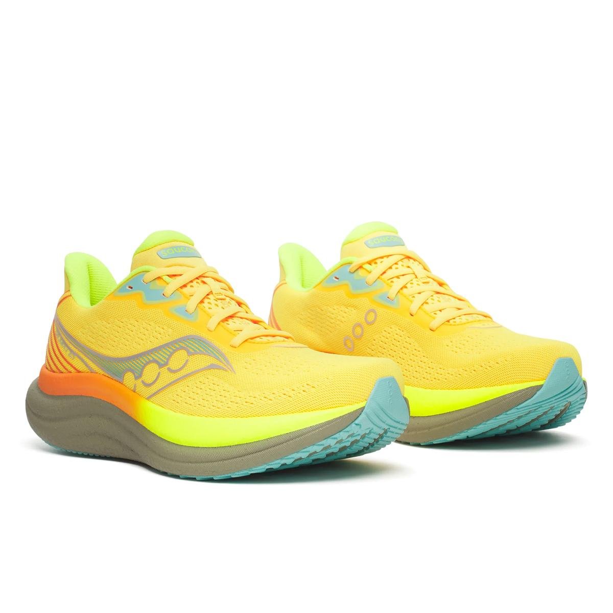 TRIUMPH 23 - immagine 3