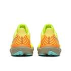 TRIUMPH 23 - immagine 10